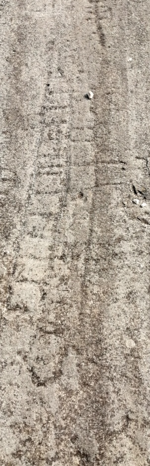 Petroglyphe Leitern